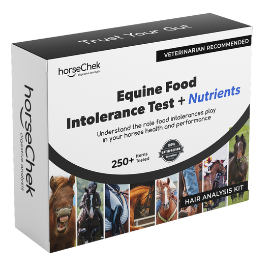 Food Intolerance - Horse - Premium Test - includes Consultation - Stable Minded