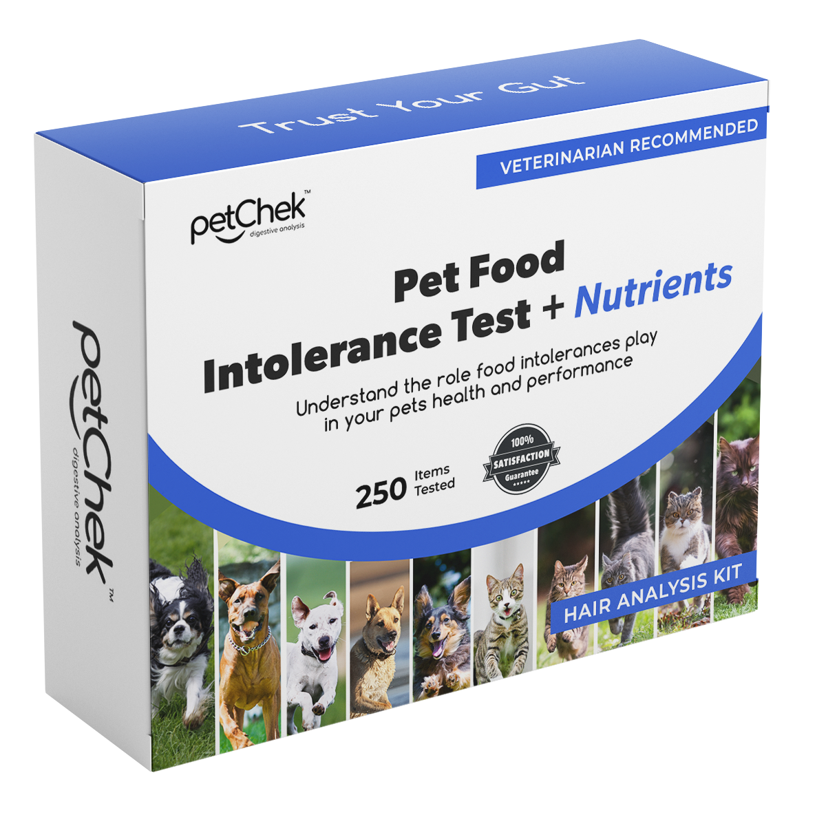Food Intolerance - Pet - Premium Test - SC