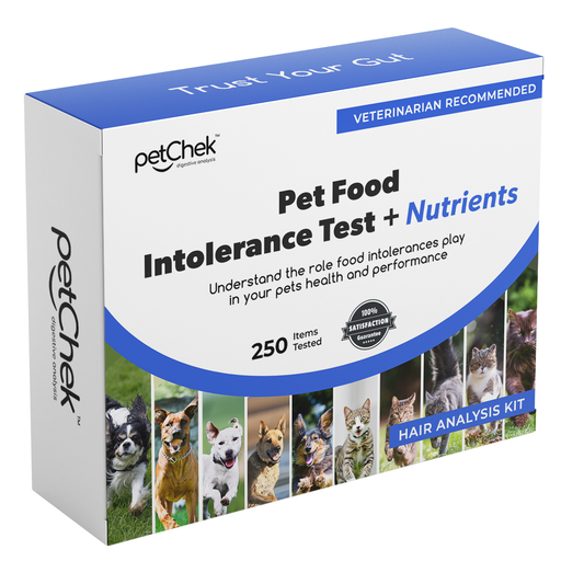 Food Intolerance - Pet - Premium Test - GroupBenefitz